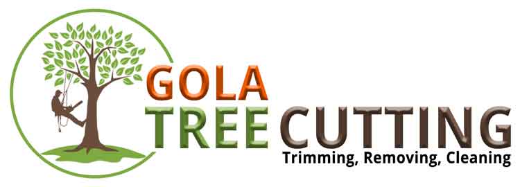 Gola Tree Curtting